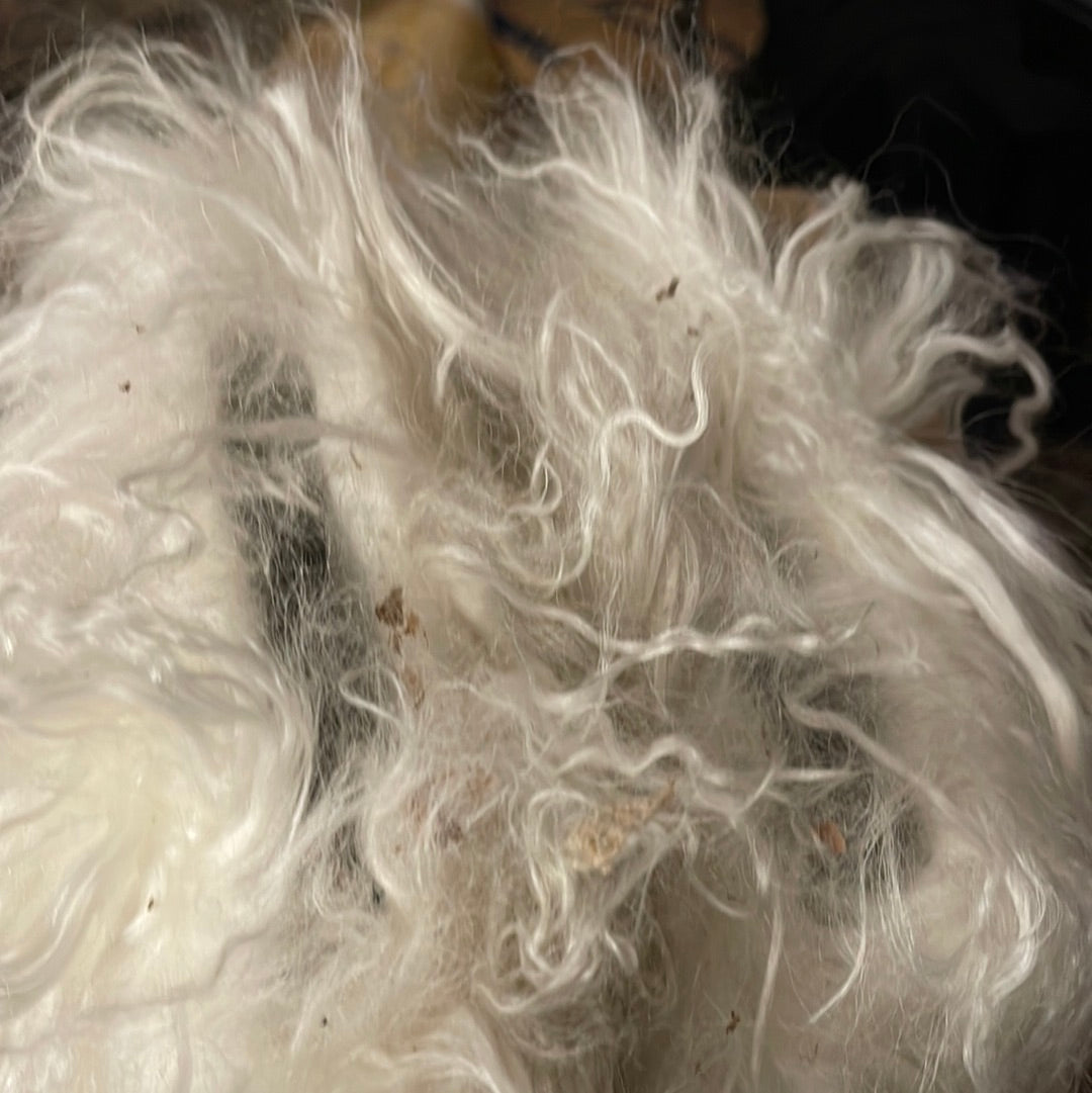 UGG Fluff Momma Mongolian