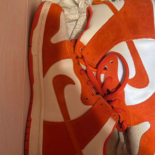 2005 NIKE DUNK HIGH PRO