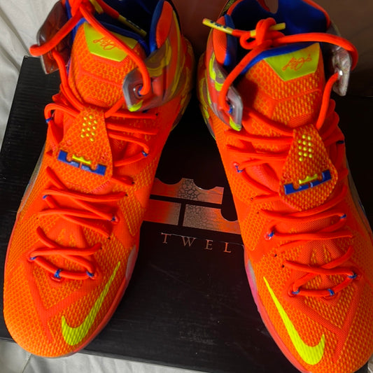 Nike LeBron 12 Six Meridians Basketball Sneakers 684593-870