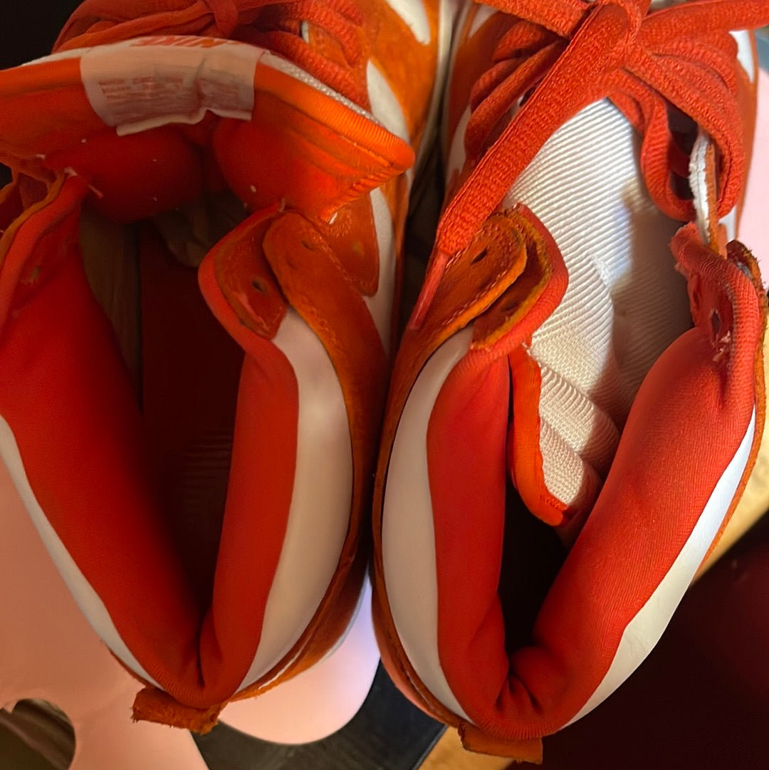 2005 NIKE DUNK HIGH PRO