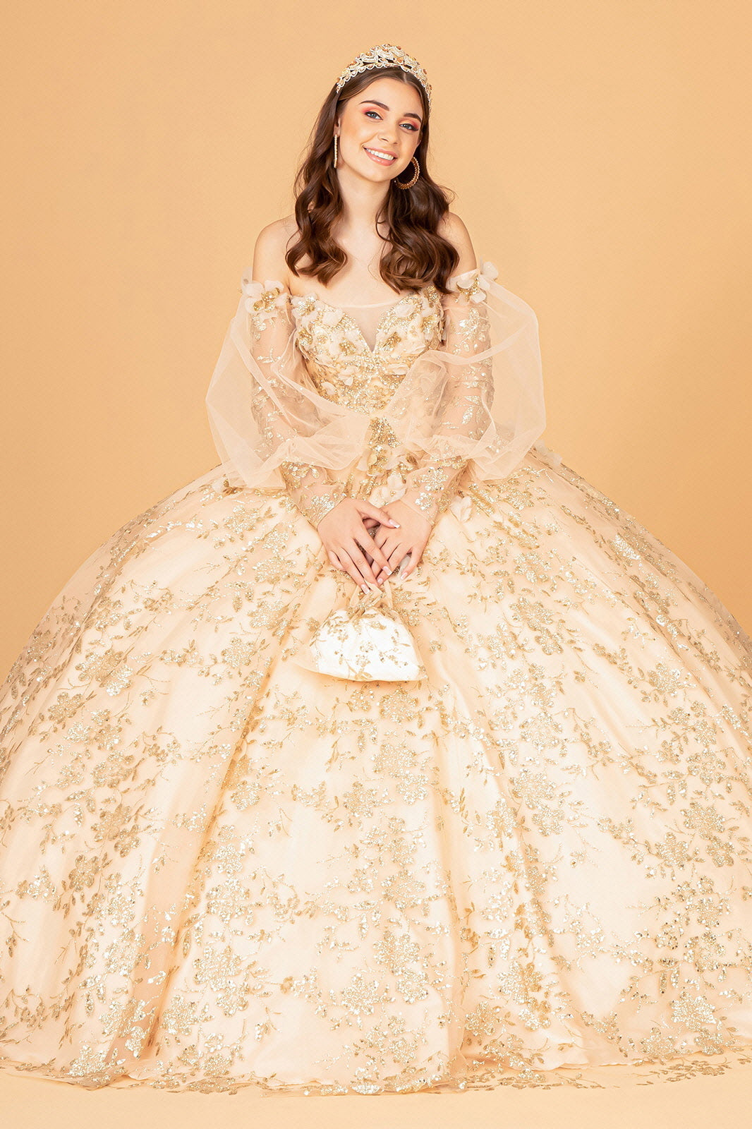 Mesh Long Sleeves w/ Detachable Ribbon and Mini Bag Quinceanera Dress GLGL3071