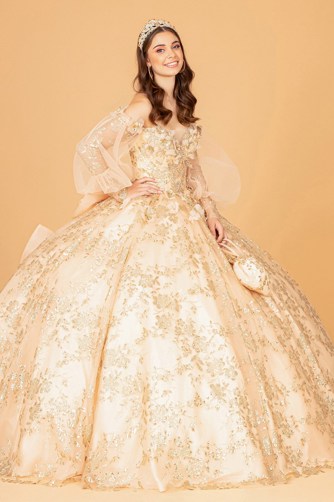 Mesh Long Sleeves w/ Detachable Ribbon and Mini Bag Quinceanera Dress GLGL3071
