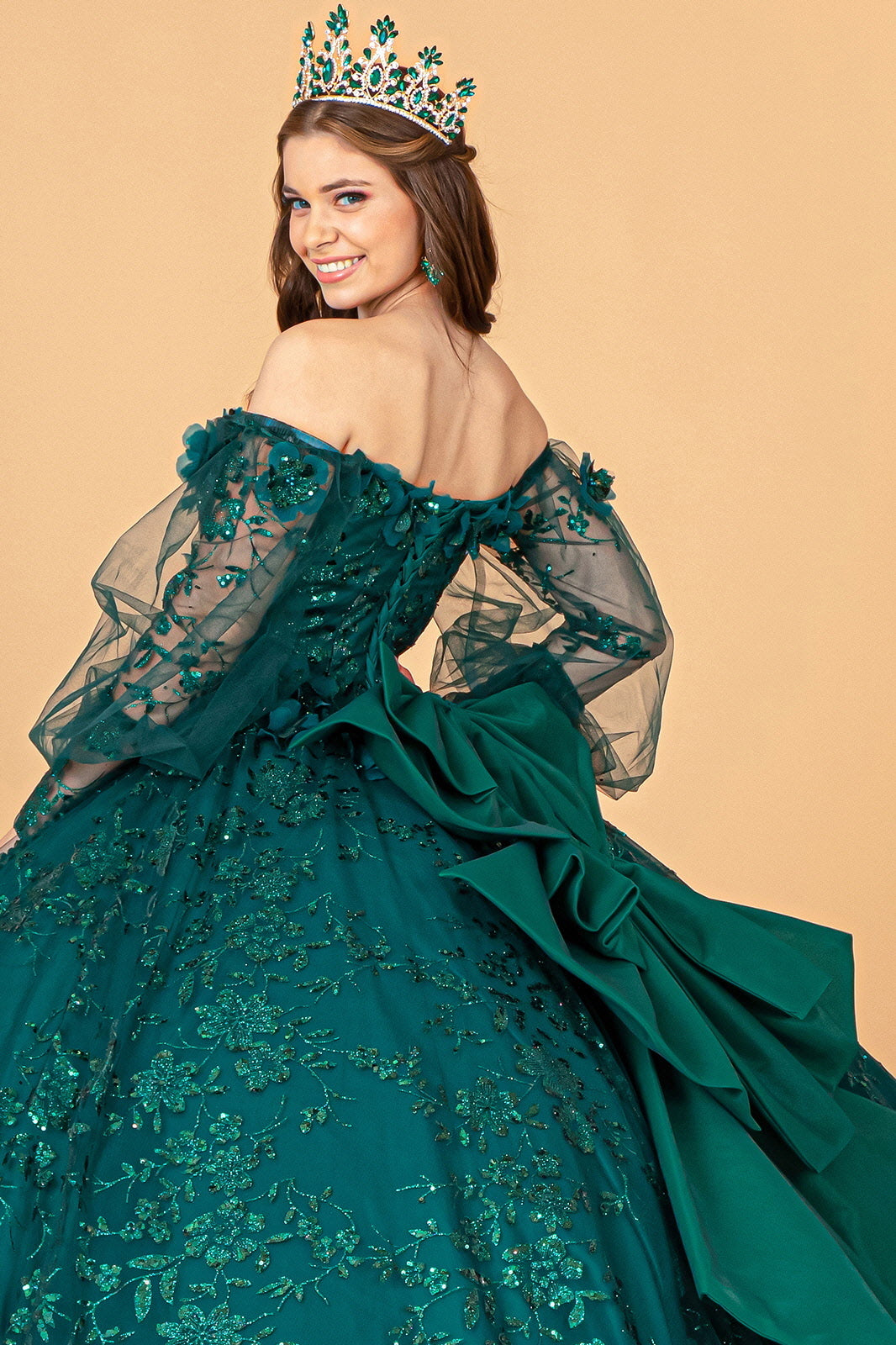 Mesh Long Sleeves w/ Detachable Ribbon and Mini Bag Quinceanera Dress GLGL3071