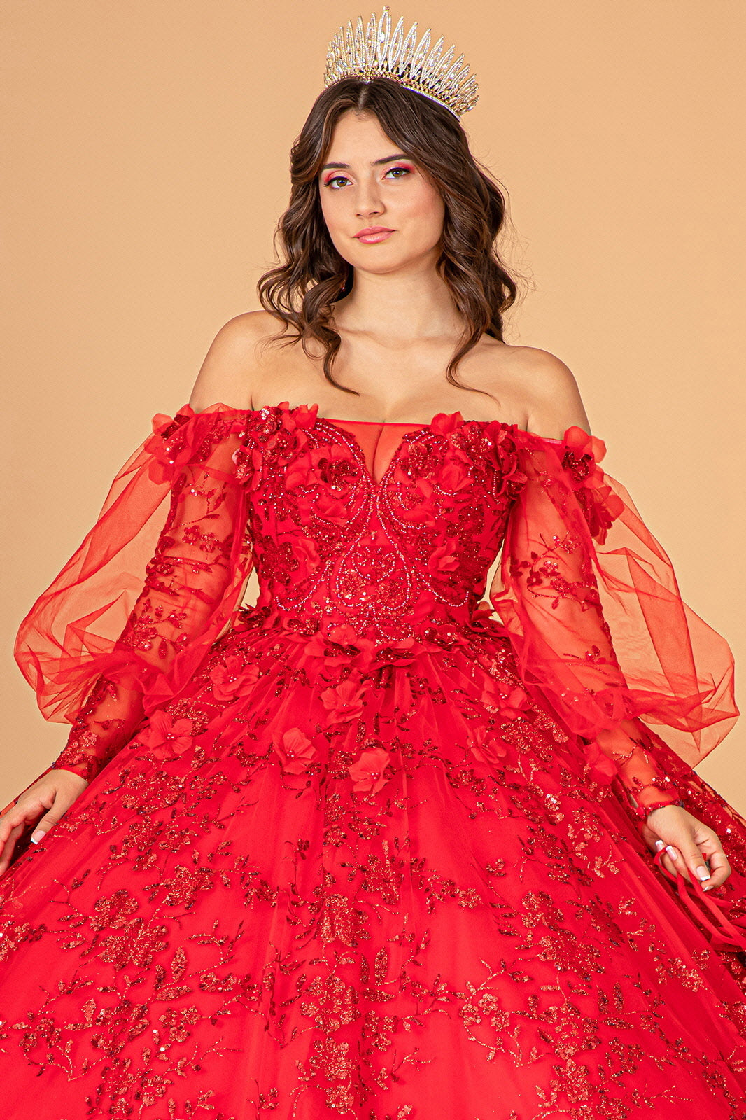 Mesh Long Sleeves w/ Detachable Ribbon and Mini Bag Quinceanera Dress GLGL3071