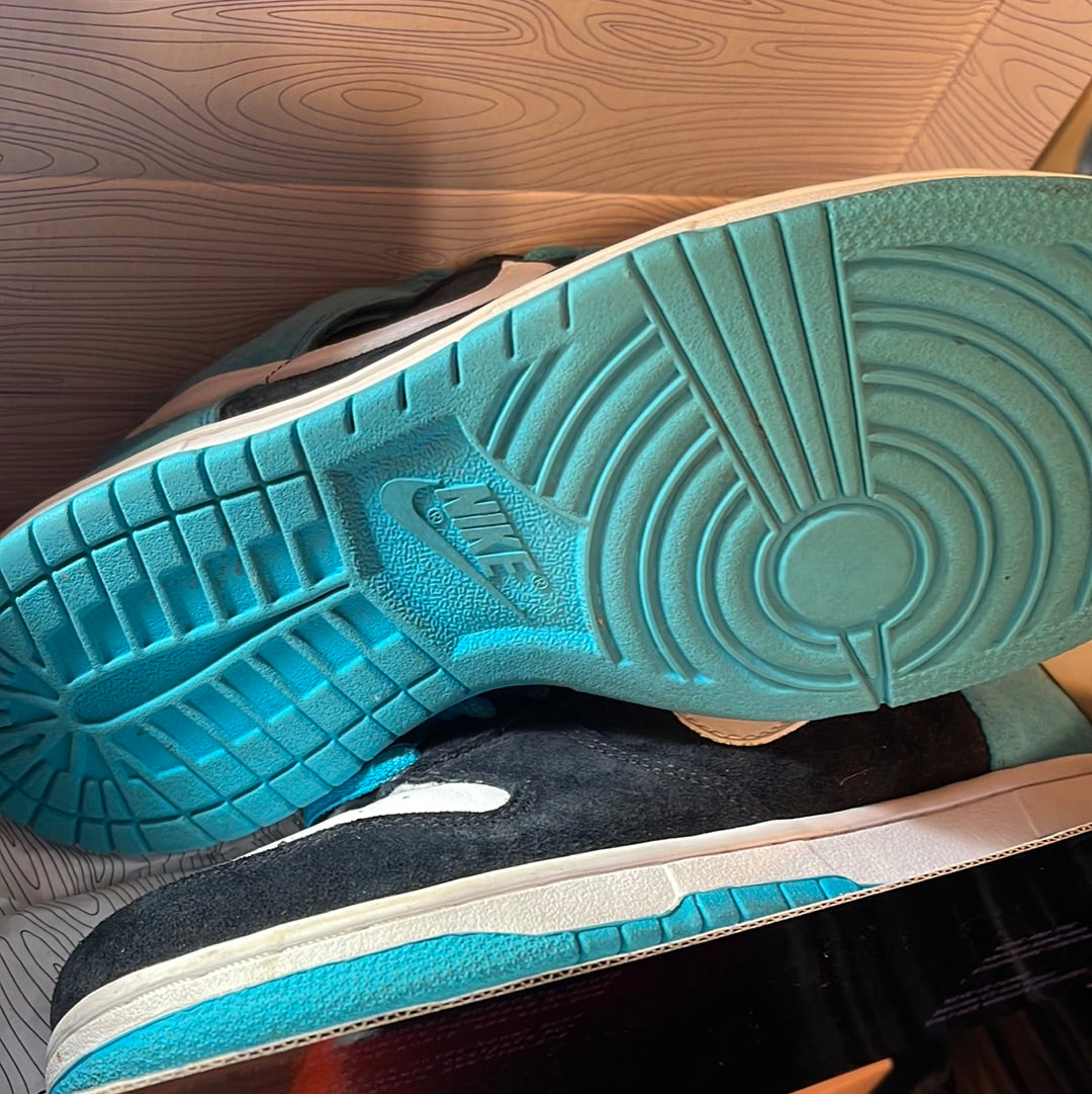 Nike SB Dunk High Pro Send Help 2006 BEATERS