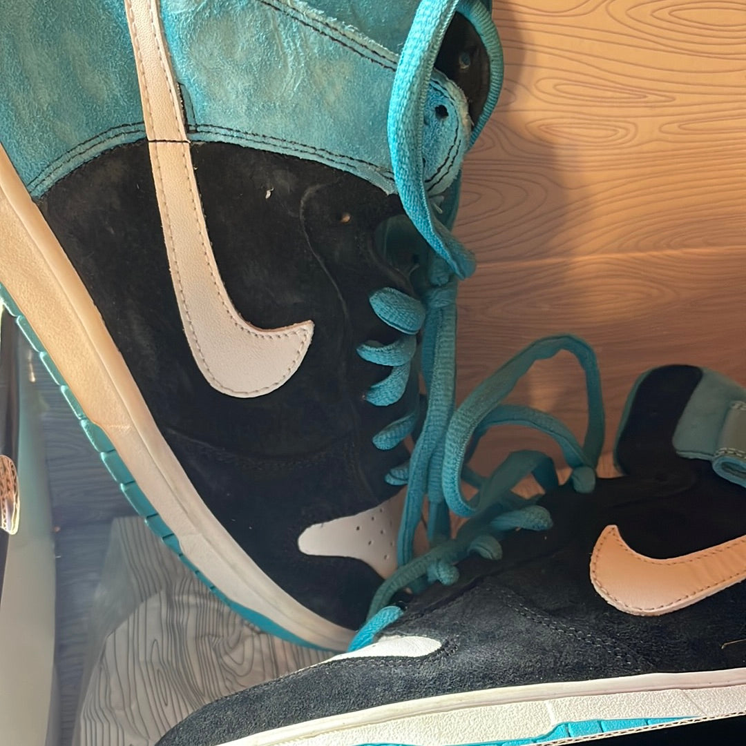 Nike SB Dunk High Pro Send Help 2006 BEATERS