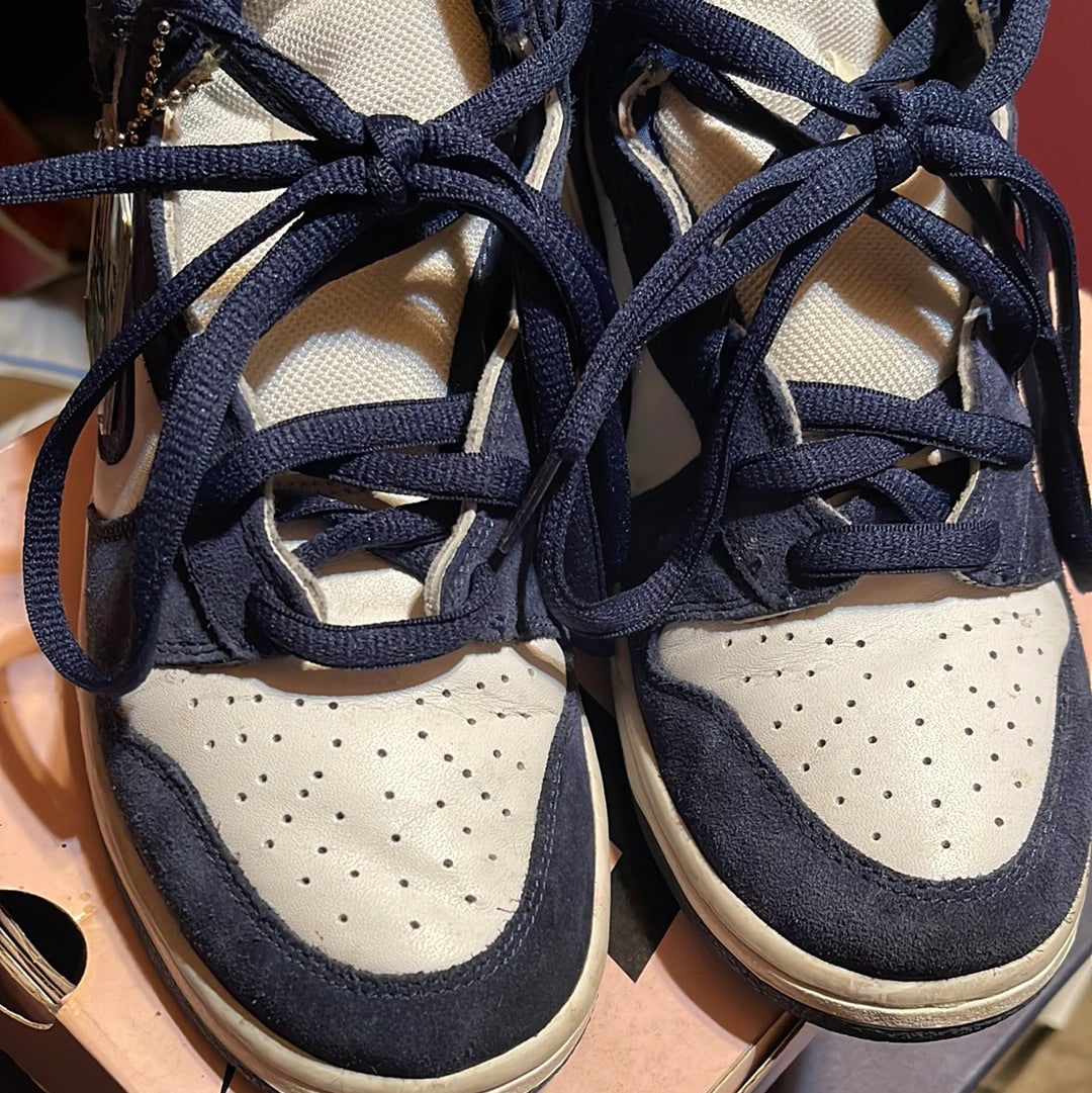 Nike Dunk High Pro SB Villanova BTTYS White.Midnight Navy 305050 141