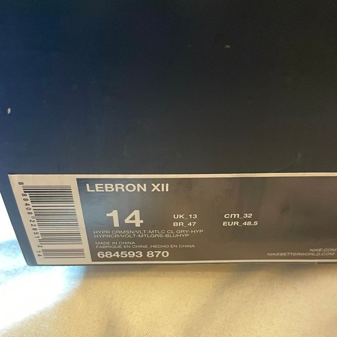 Nike LeBron 12 Six Meridians Basketball Sneakers 684593-870