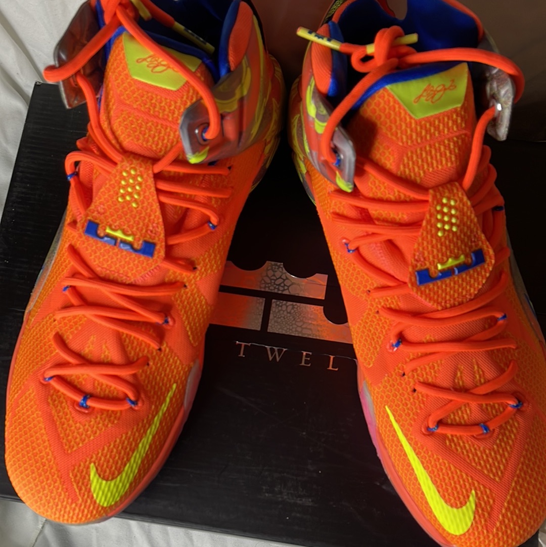 Nike LeBron 12 Six Meridians Basketball Sneakers 684593-870